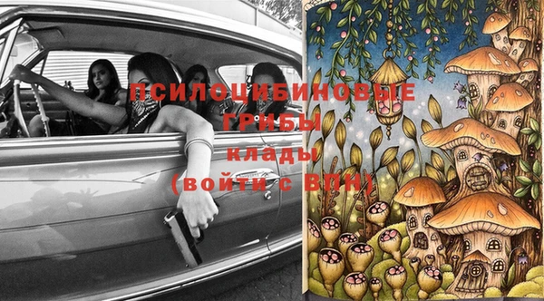СК Абинск