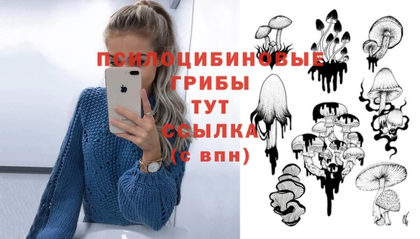 экстази Абаза