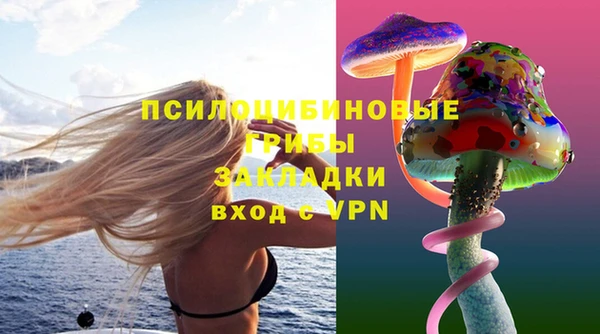 СК Абинск