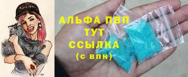 СК Абинск