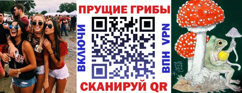 Псилоцибиновые грибы прущие грибы  Мосальск 